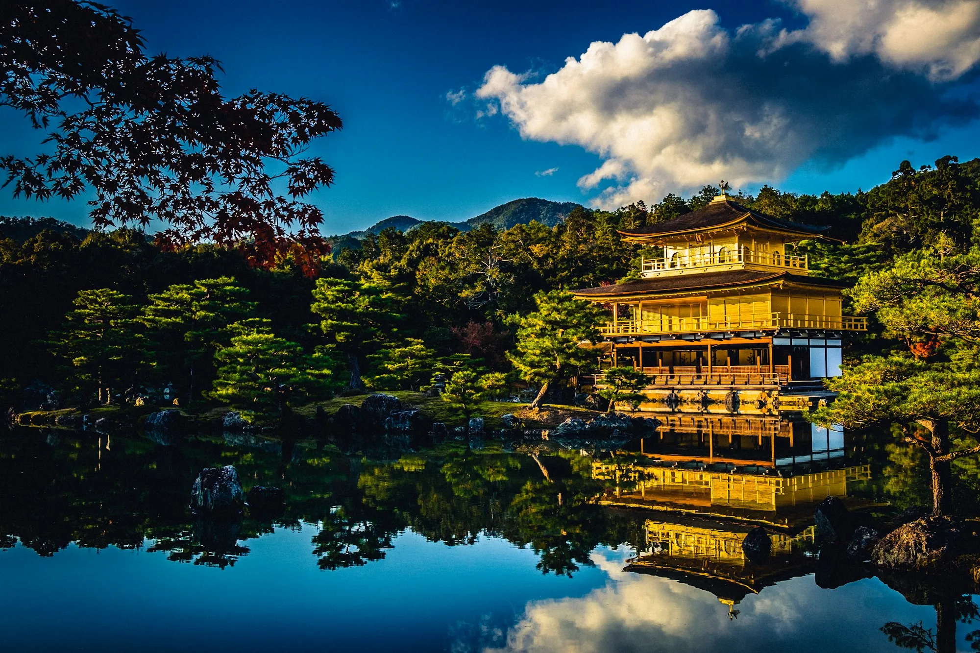 A golden temple pavilion reflected in a pond
